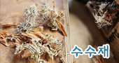 수수재